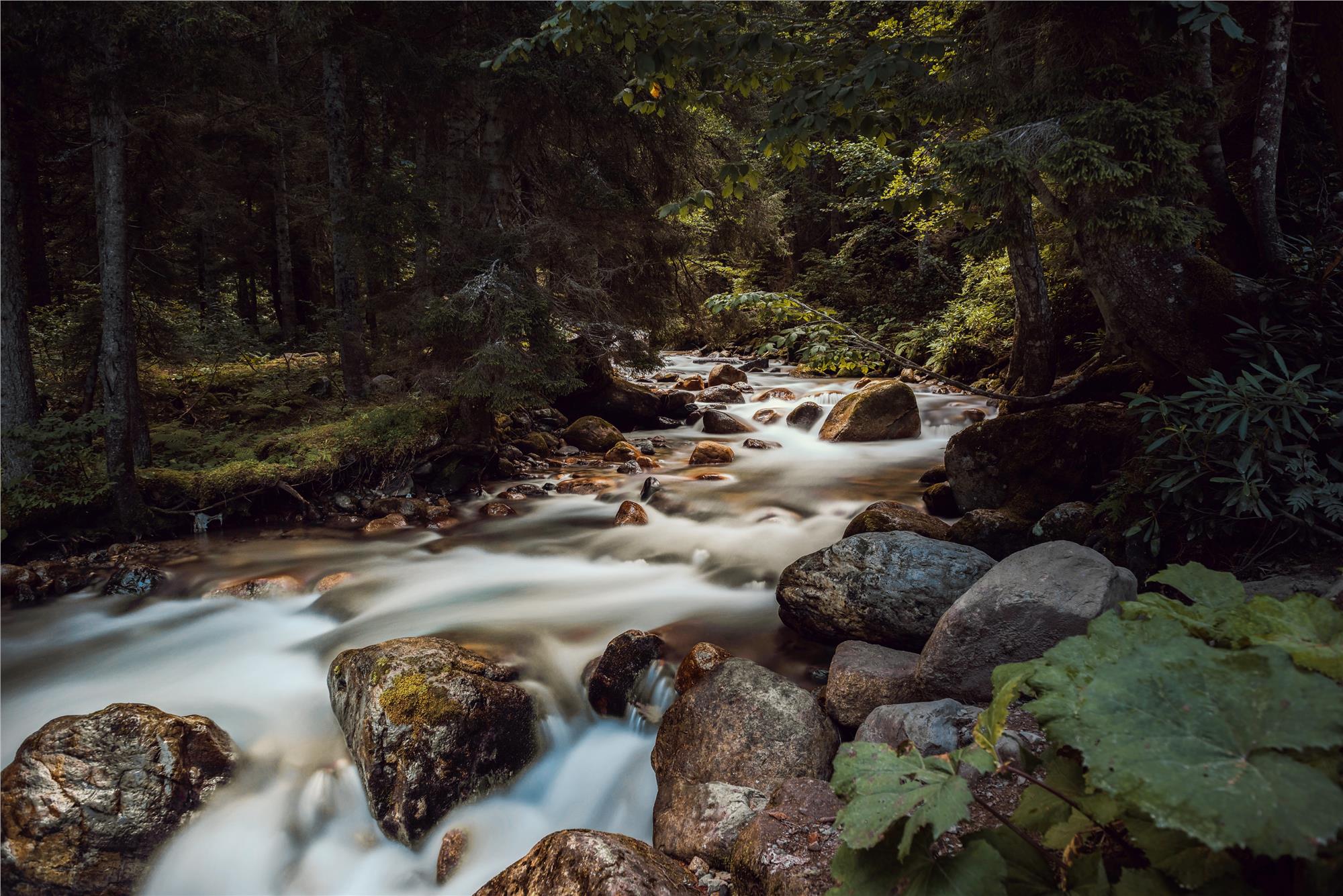 Black Sea Photography Tour