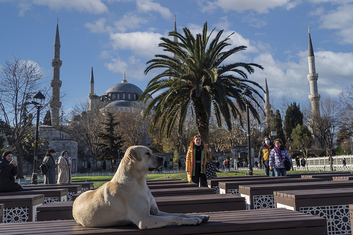 Half Day Street Photography in Istanbul