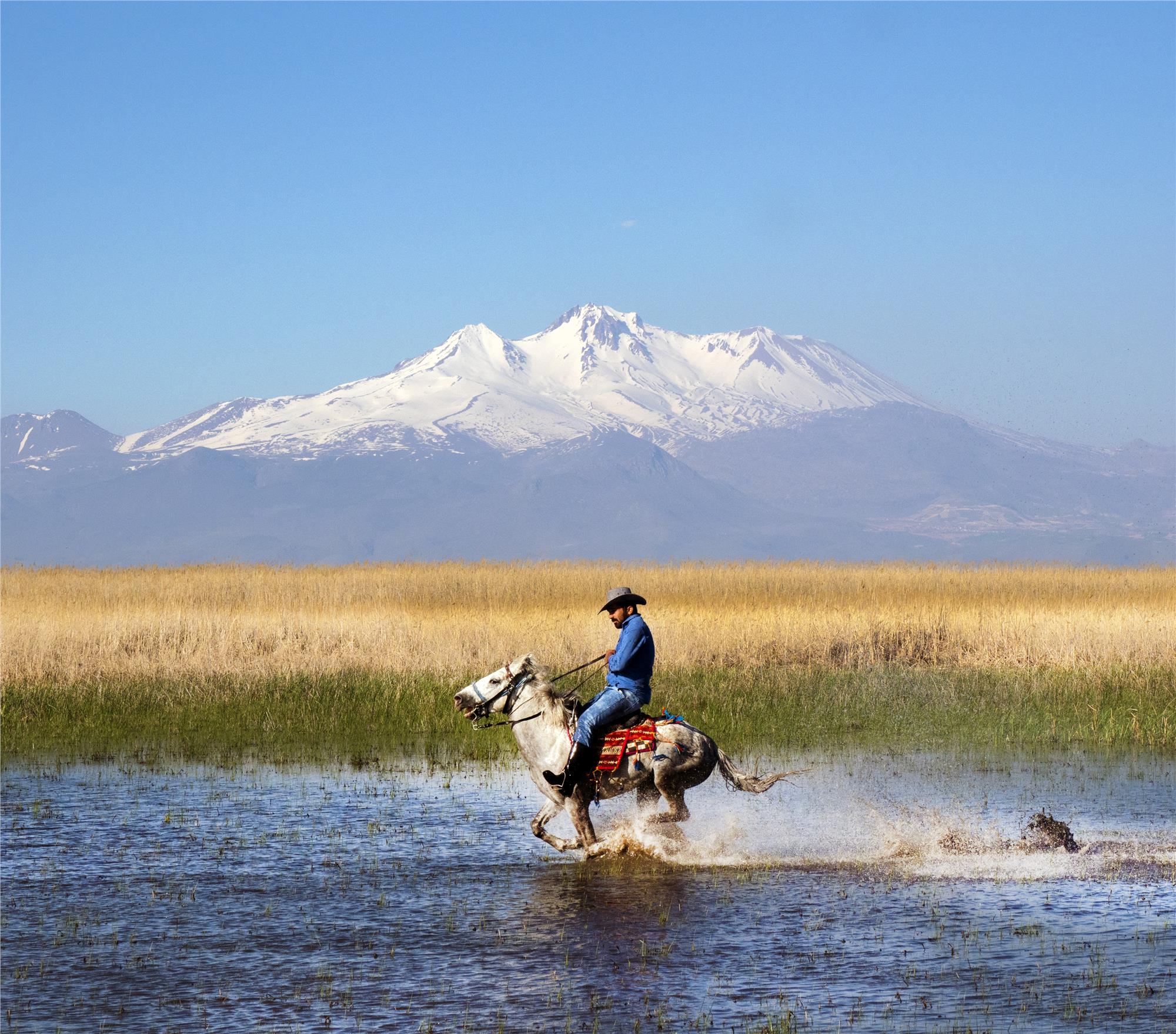 Nuri Çorbacıoğlu: Equine Photographer