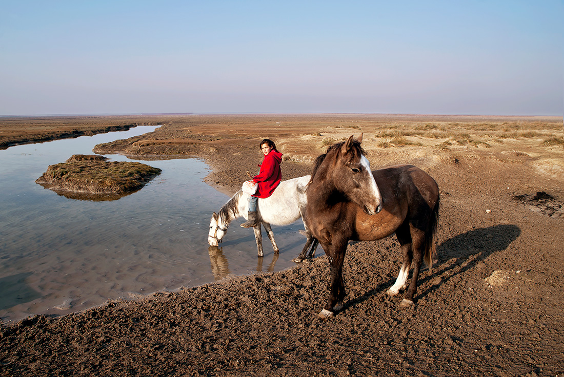 Wild And Free Horses Of Cappadocia: Yilki Horses